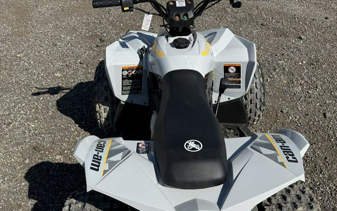 2026 Can-Am Renegade 110 EFI