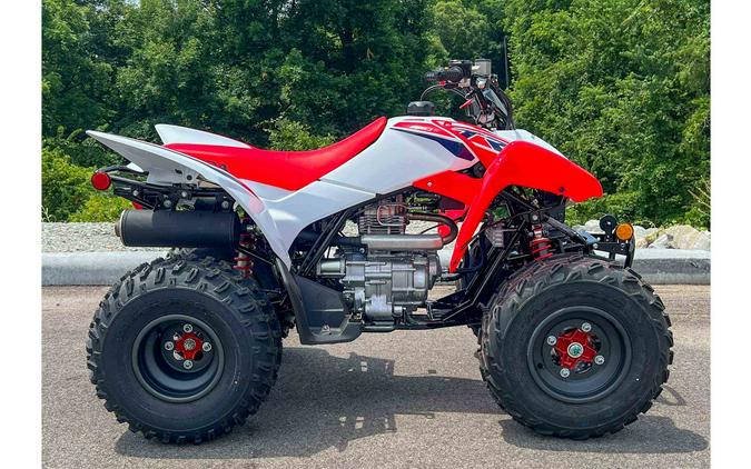 2024 Honda TRX250X