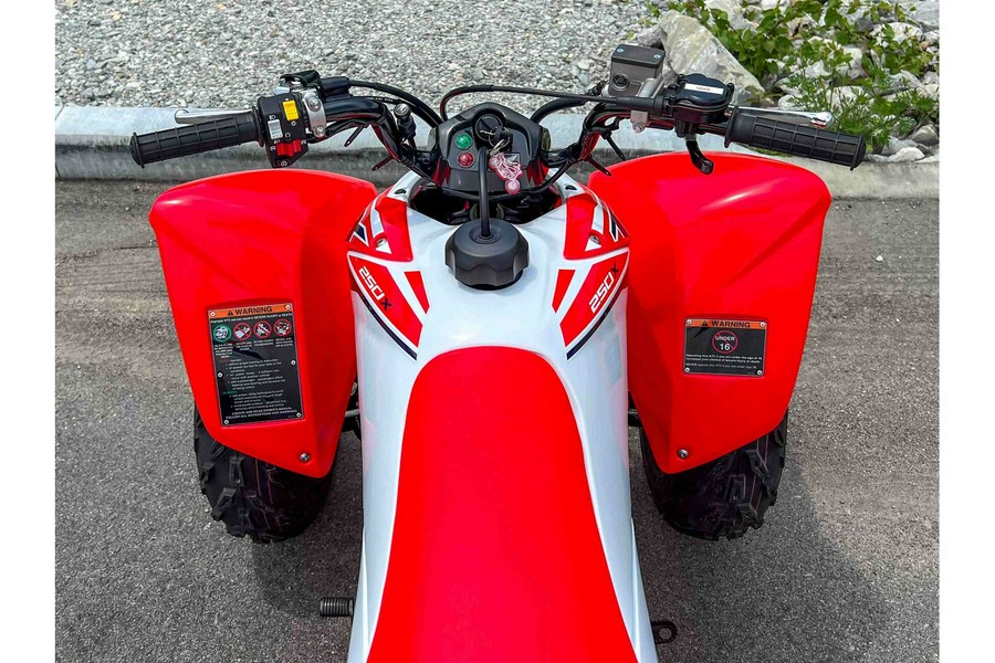 2024 Honda TRX250X