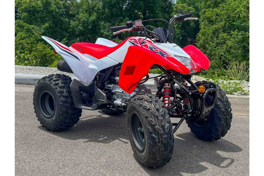 2024 Honda TRX250X