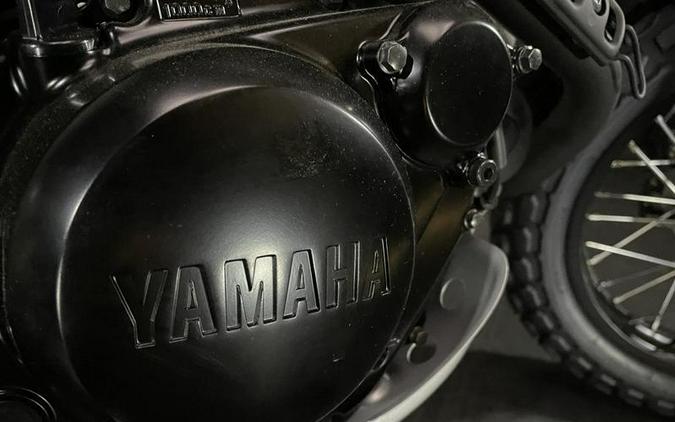 2024 Yamaha TW200