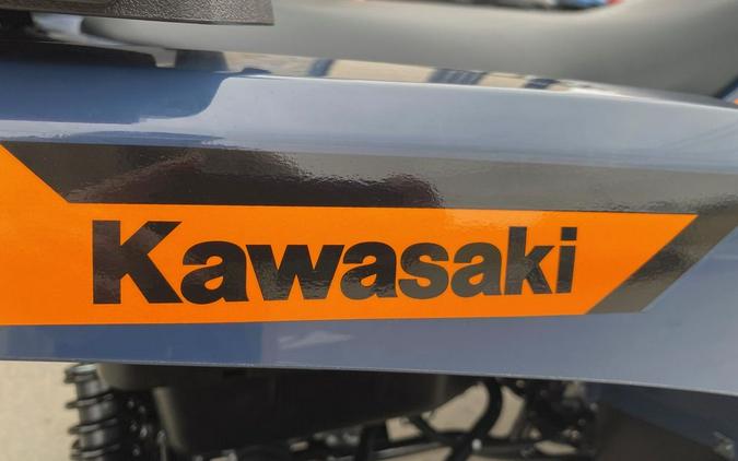 2026 Kawasaki Brute Force® 750 EPS