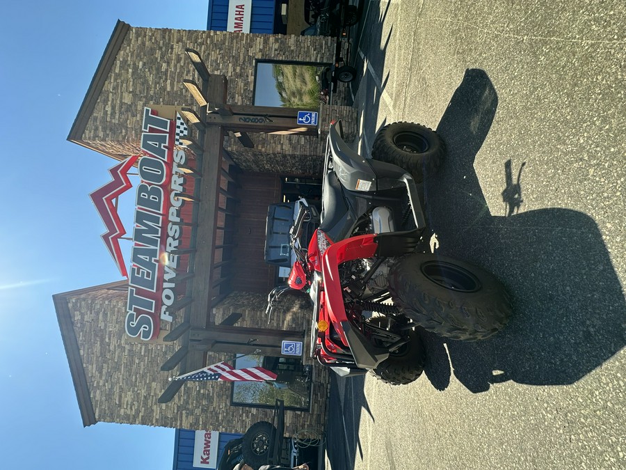 2025 Yamaha GRIZZLY 110 Grey Metallic/Red - YA2785
