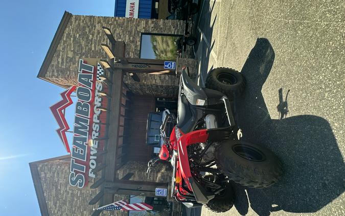 2025 Yamaha GRIZZLY 110 Grey Metallic/Red - YA2785