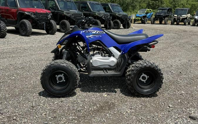 2026 Yamaha Raptor 110