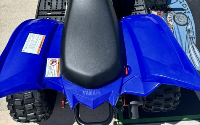 2024 Yamaha Raptor 110