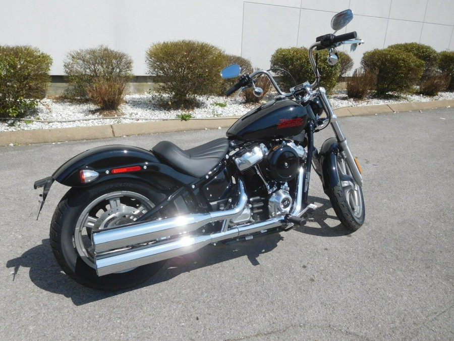 FXST 2024 Softail Standard