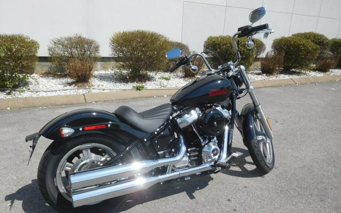 FXST 2024 Softail Standard