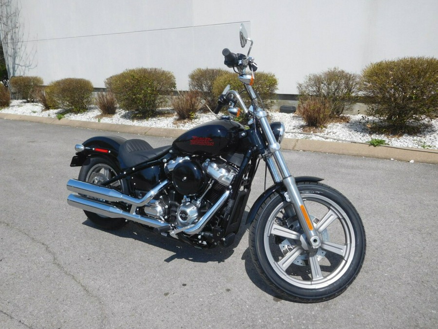 FXST 2024 Softail Standard