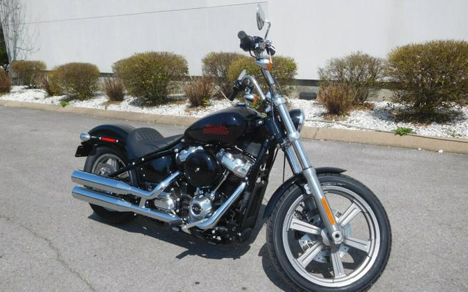 FXST 2024 Softail Standard