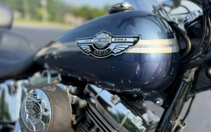 2003 Harley-Davidson FXSTD/FXSTDI Softail® Deuce™