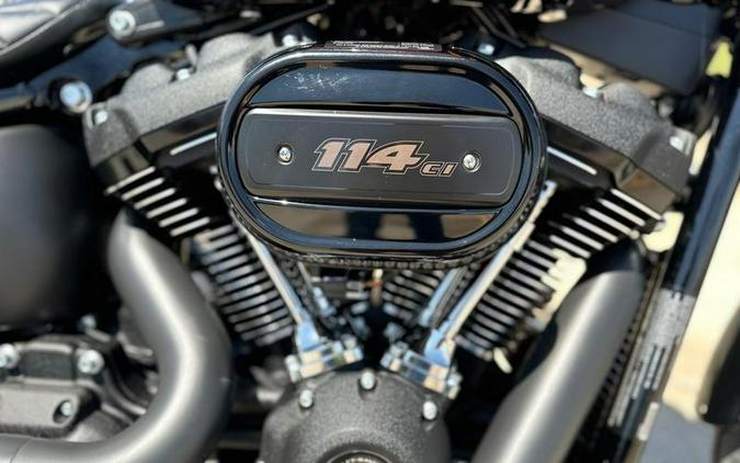 2021 Harley-Davidson Street Bob 114 First Look Preview