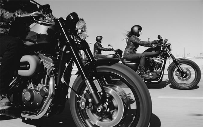 2017 Harley-Davidson Sportster® Iron 883™