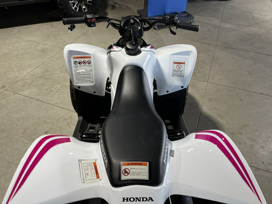 2022 Honda® TRX90X