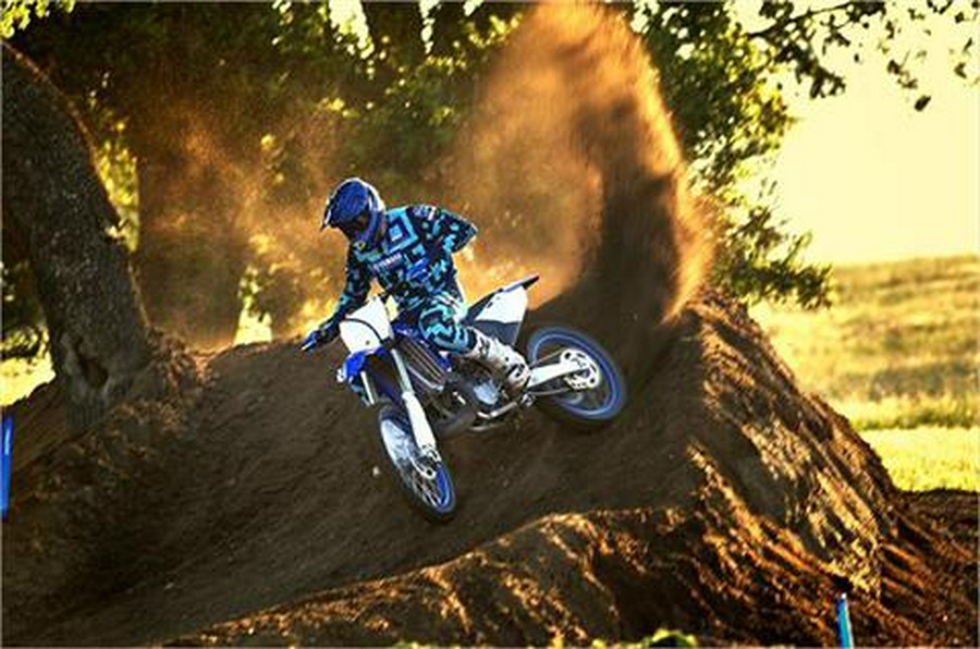 2019 Yamaha YZ250