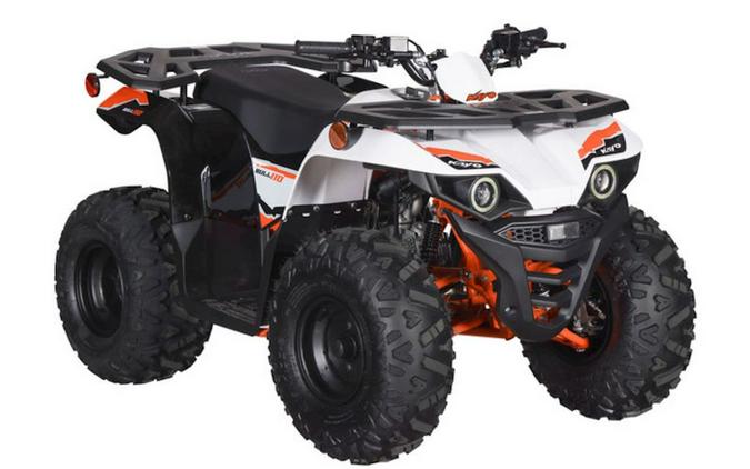 2026 Kayo Bull 110