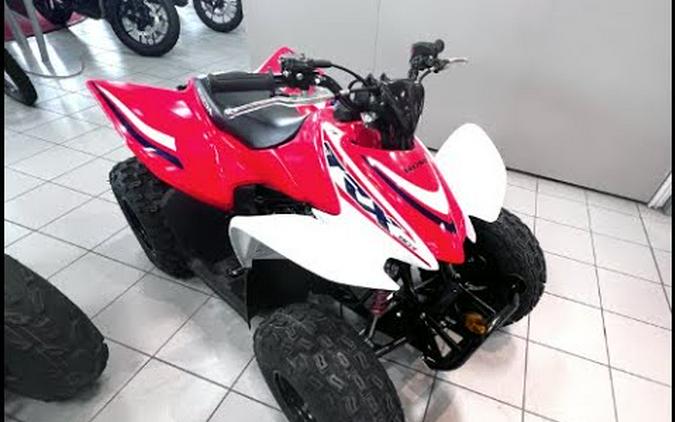 2023 Honda TRX90X