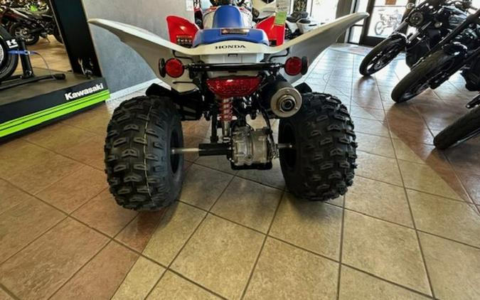 2026 Honda® TRX250X