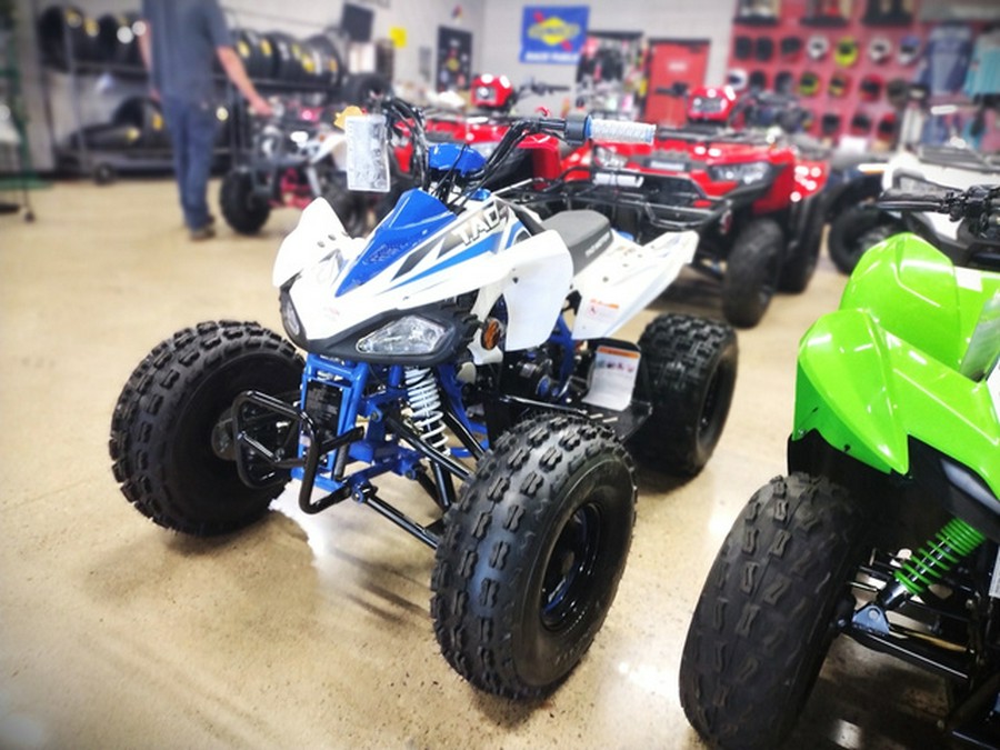 2025 TAOTAO Cheetah 125