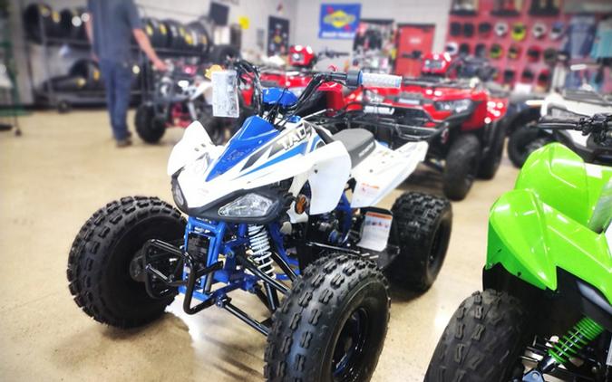 2025 TAOTAO Cheetah 125