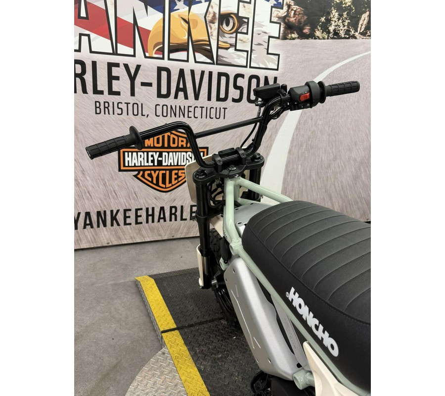 2027 LiveWire S4 Honcho - Trail