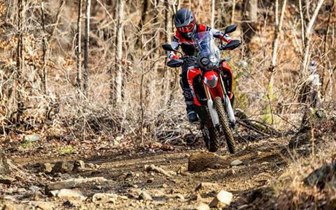 2026 Honda CRF300L Rally ABS