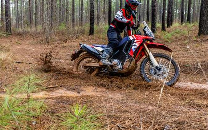 2026 Honda CRF300L Rally ABS