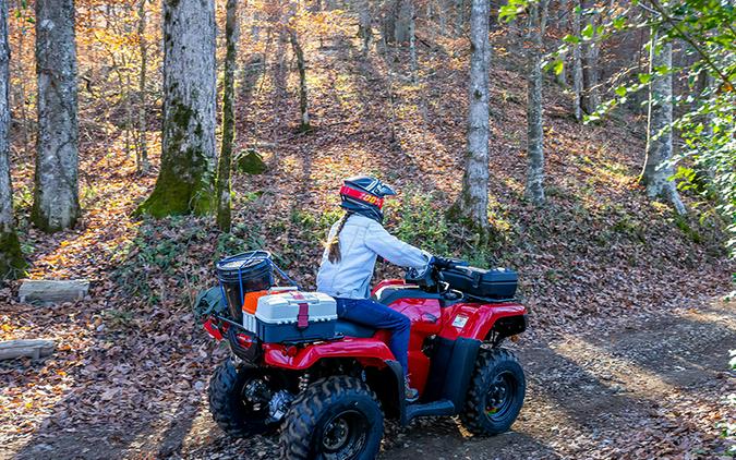 2024 Honda FourTrax Rancher 4X4 Automatic DCT IRS