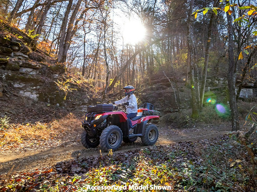 2024 Honda FourTrax Rancher 4X4 Automatic DCT IRS