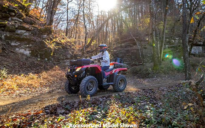 2024 Honda FourTrax Rancher 4X4 Automatic DCT IRS