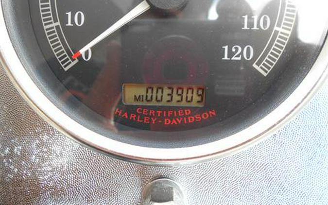 2005 Harley-Davidson FLSTF/FLSTFI Fat Boy®