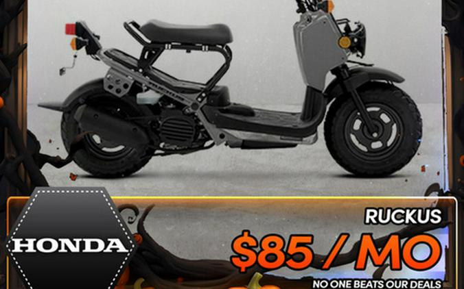 2022 Honda Ruckus