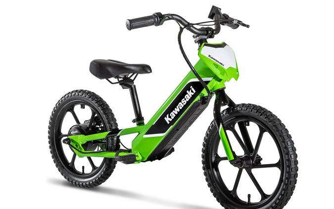 2023 KAWASAKI ELEKTRODE