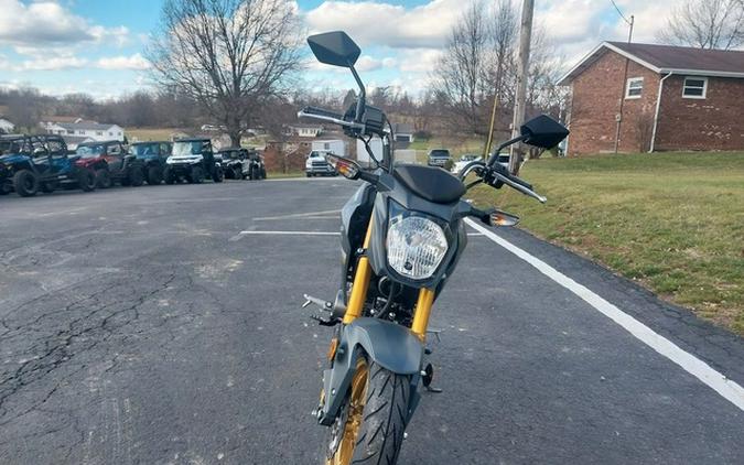 2024 Kawasaki Z125 PRO