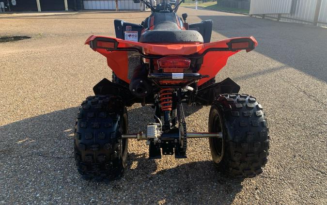 2023 Can-Am DS 250