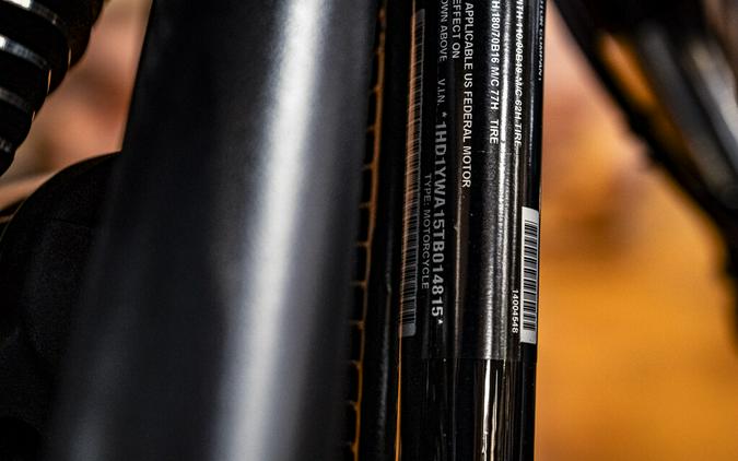 2026 Harley-Davidson Low Rider S