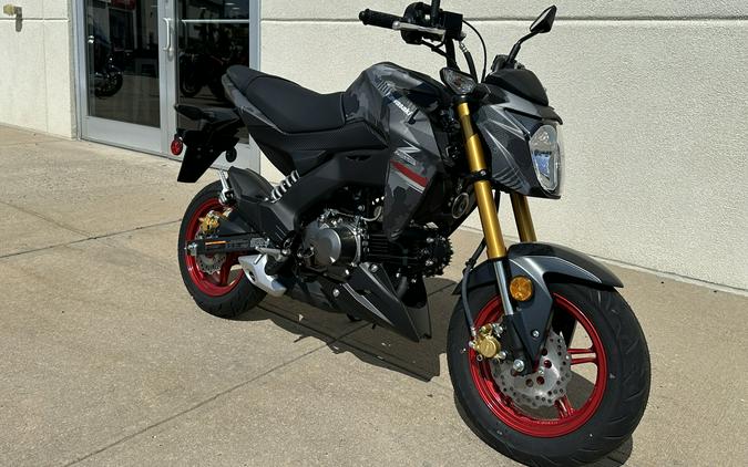 2024 Kawasaki Z125 PRO