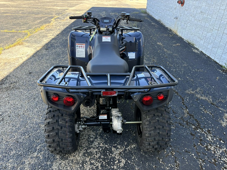 2025 Kawasaki Brute Force® 300