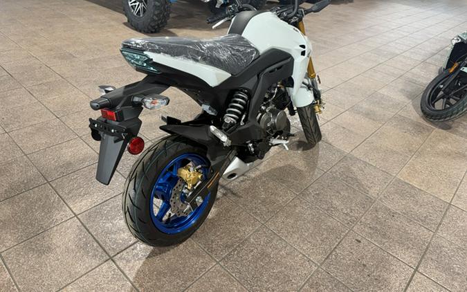 2026 Kawasaki Z125 PRO