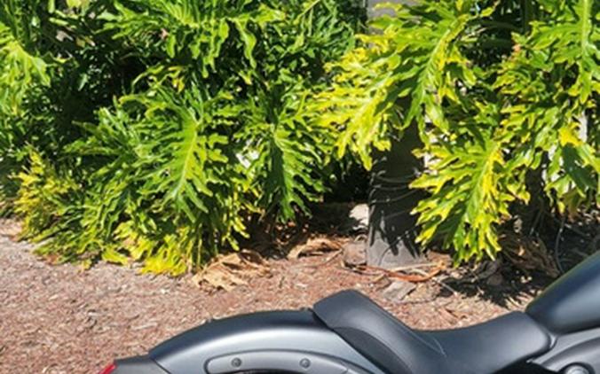 2026 Kawasaki Vulcan S