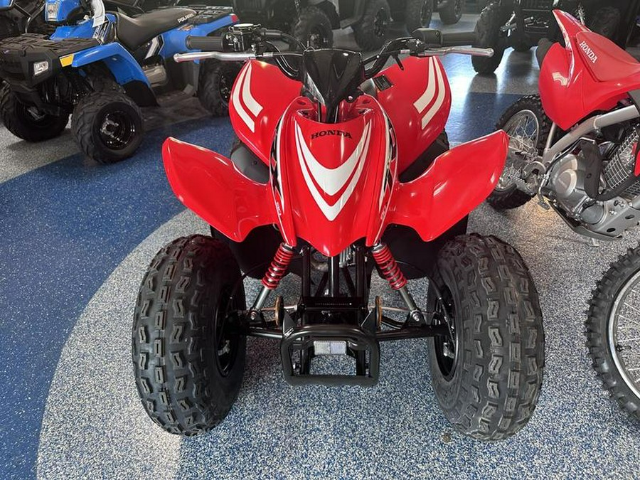2025 Honda® TRX90X