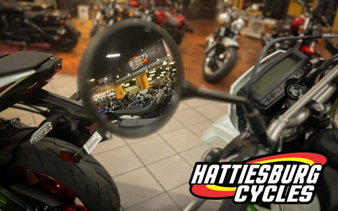 2026 Kawasaki KLX300