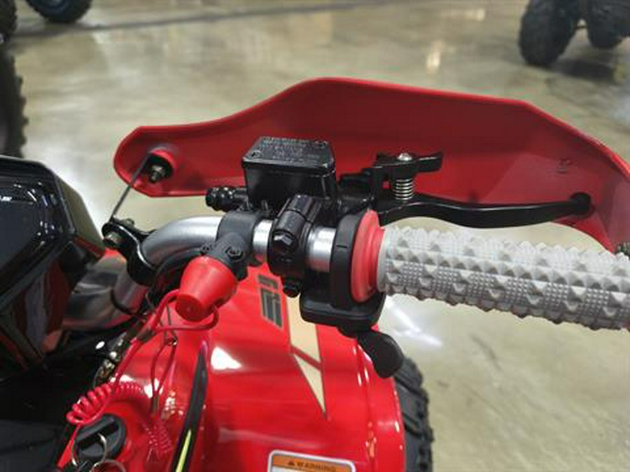 2026 Denago Powersports E-Hawk 6