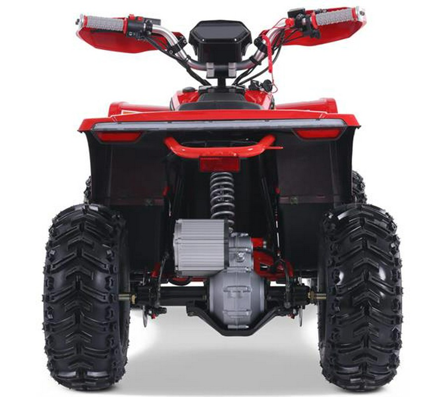 2026 Denago Powersports E-Hawk 6