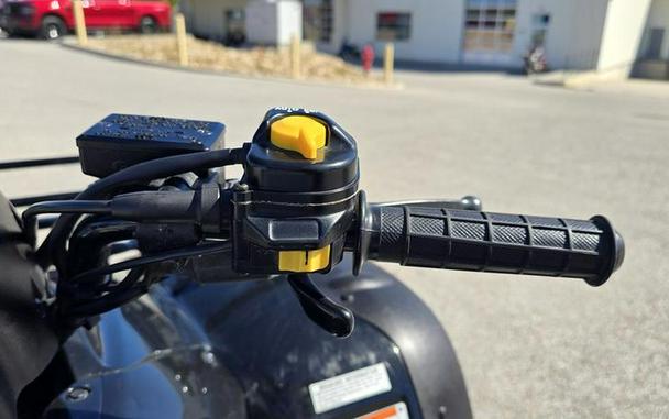 2006 Honda® FourTrax Rancher™ AT