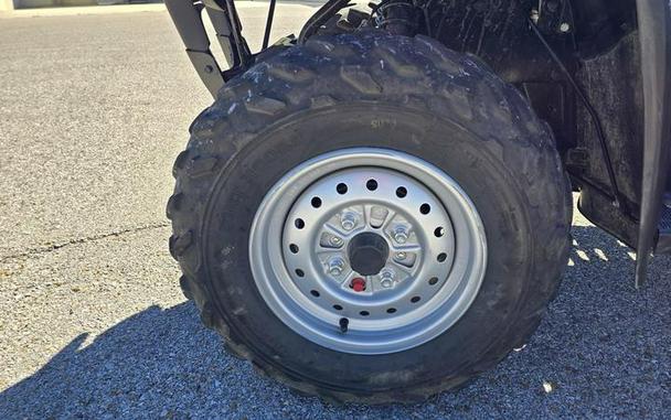 2006 Honda® FourTrax Rancher™ AT