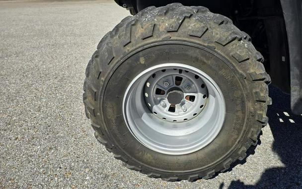 2006 Honda® FourTrax Rancher™ AT