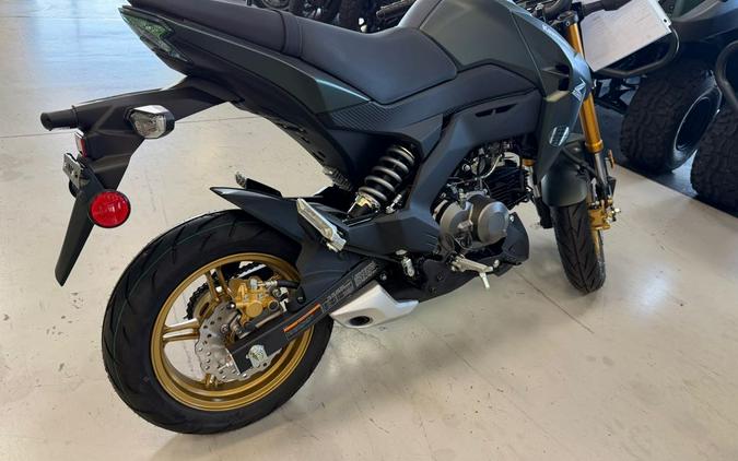 2025 Kawasaki Z125 PRO
