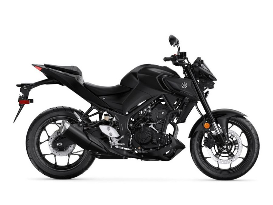 2024 Yamaha MT 03