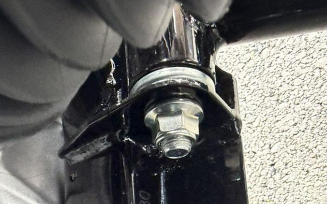 2026 Kawasaki Mule PRO-FXT™ 1000 Platinum Ranch Edition